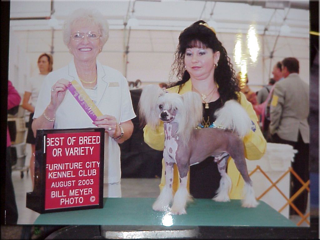 Blanchos Take Your Best Shot