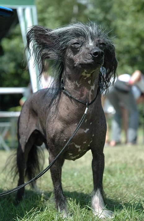 Blandora Best Kept Secret