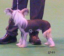 Blandora Nobodys Business At Vanitonia