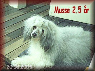 Blue Wing's Dr Bombay