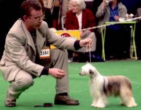 Bradwen Back With A Bang At Woodhaven