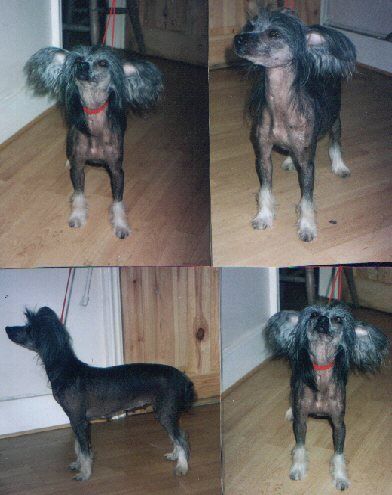 Bradwen Fortune Cookie