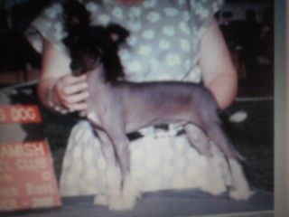 Cassanova By Design At Pentastar