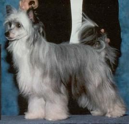 Chars Riddles In The Dark