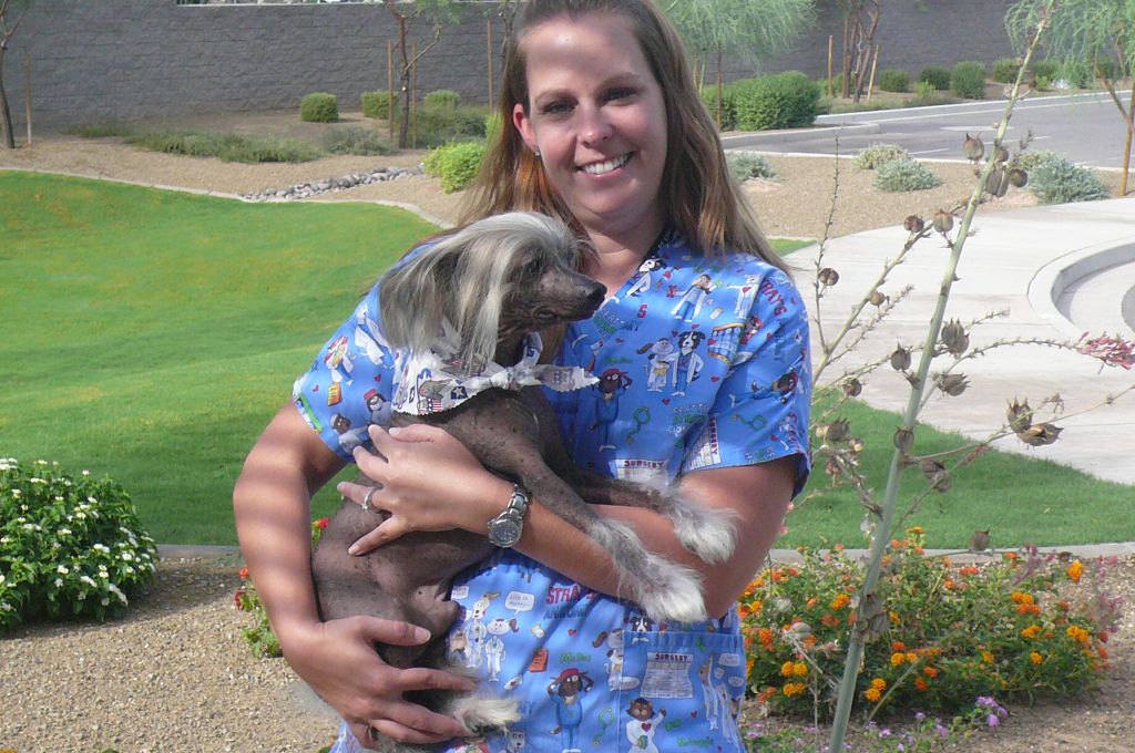 Daisley Fly-By Bayshore