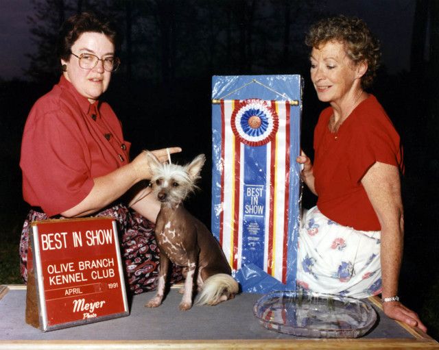 Darshire Sun Nee Dal Of Luvan