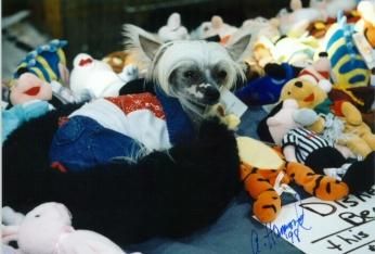 Deekay's In The Nude For Luv NA