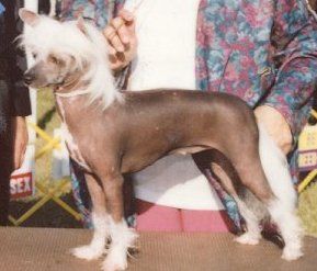 Dee-Kay's Uno Michaelina