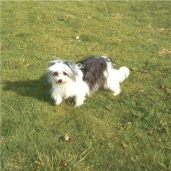 Di Gabriellas A-Catania