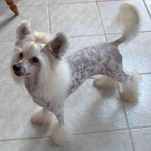 Encores Play It Again Sam