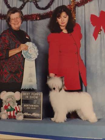 Escandol Follow The Wind