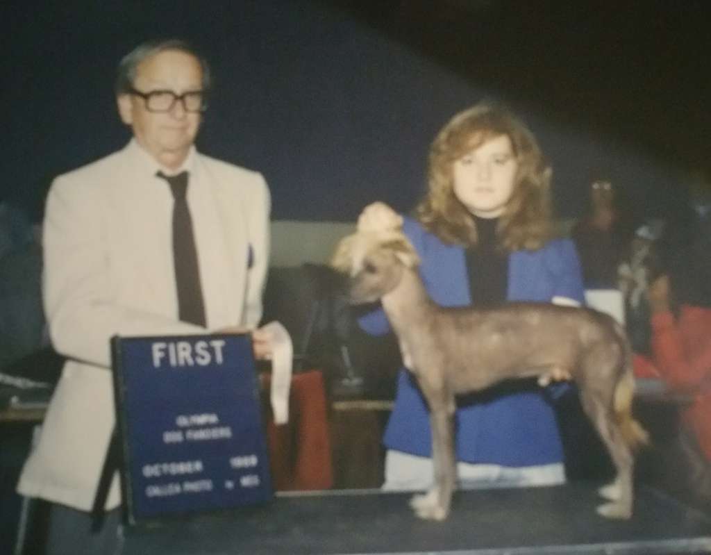 Falconcrest Mighty Max