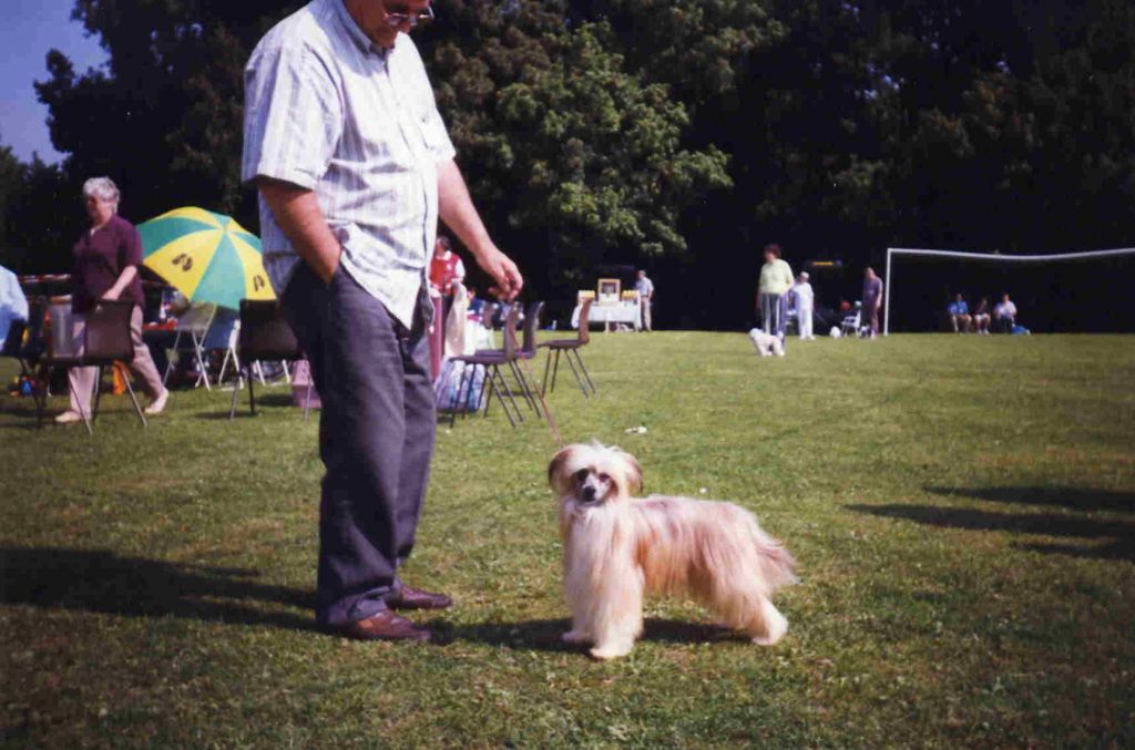 Fawncrest Peppi Delight