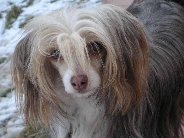 Fidorka De Lux Slezsky Sen