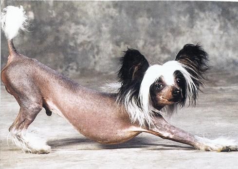 Flywheel's Lukas Gallant