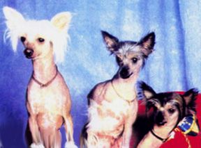 Gail Dons Bare Necesities HL