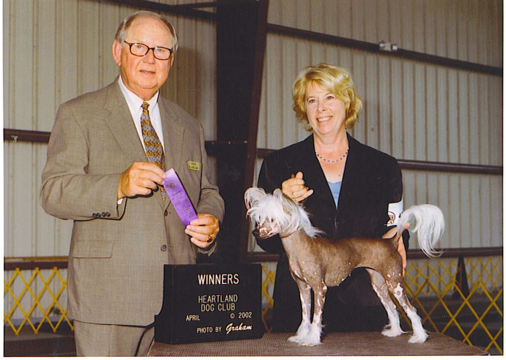 Gin-De's Desert Rose