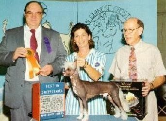 Gin-De's Texas Walker