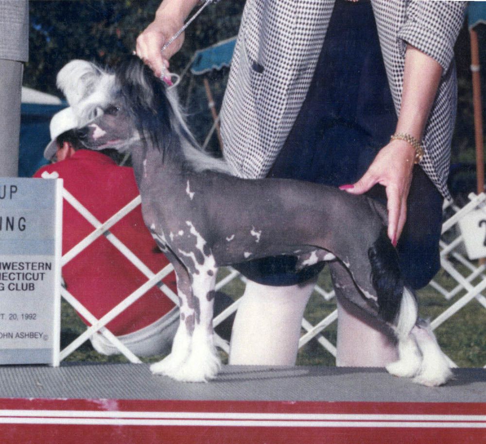 Gingery's Kangaroo SOD