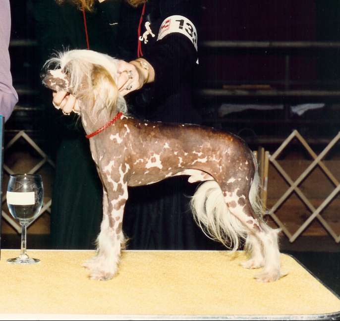 Hillcrest's Bare-Hug At Makara