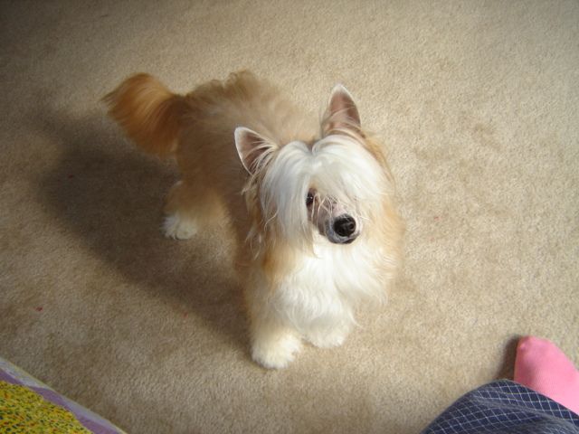 HT's Heads I Win Tails U Lose