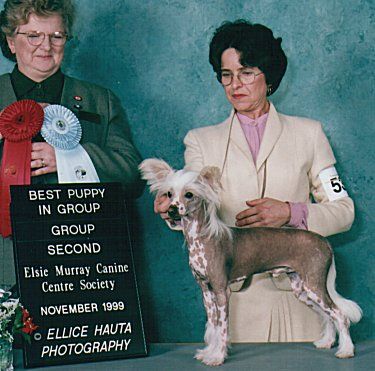 Ishkur's Loki Of Shamar Acres