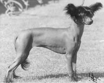 Ittacs Lady Sings The Blues At Kashi