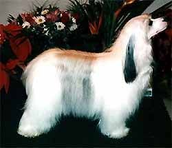 Jokima Jouez Avec Moi