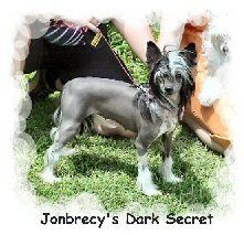 Jonbrecy's Dark Secret
