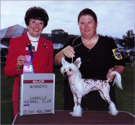 Jonbrecy's Sweet Champagne