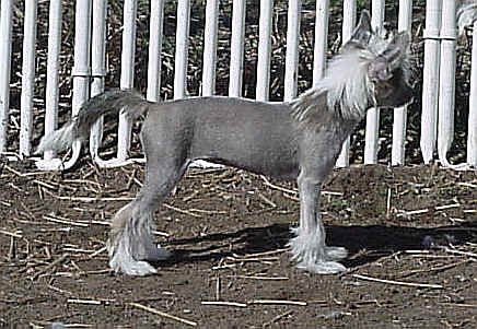 Jonbrecy's Sweet Grenadine