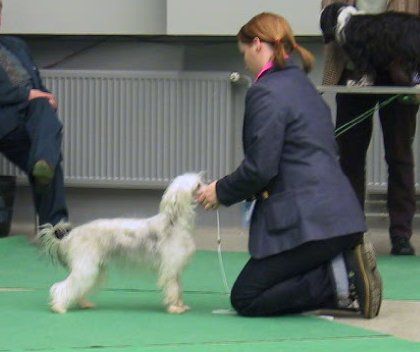 Juno-Juhekin Notre Dame