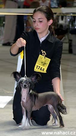 Just After Dark N'Co.