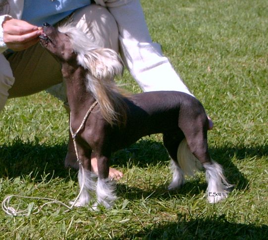 Just Call Me Lady Of Grace