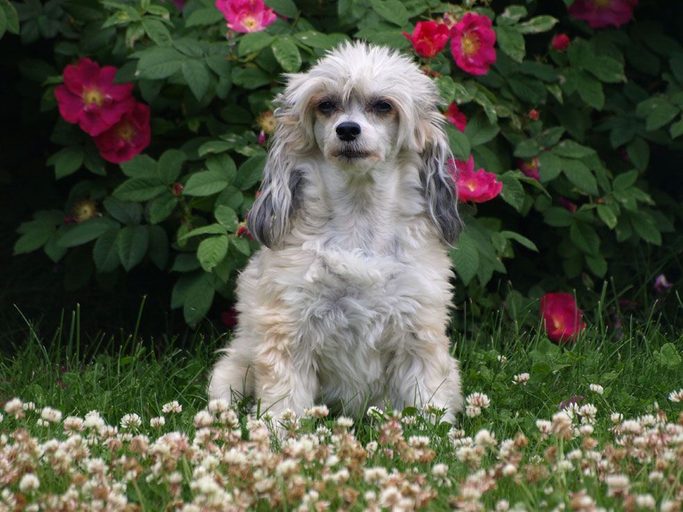 Just Call Me Sunshine