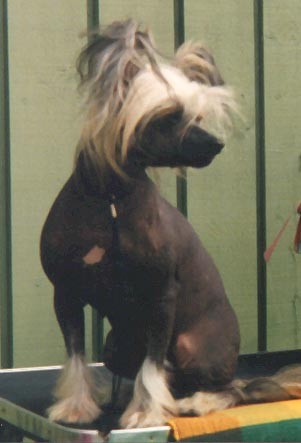 Juwain's First Choice