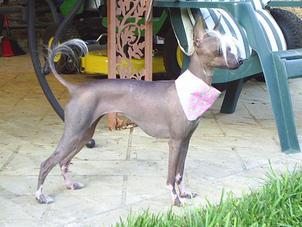 Kalypso's Jazzy Java