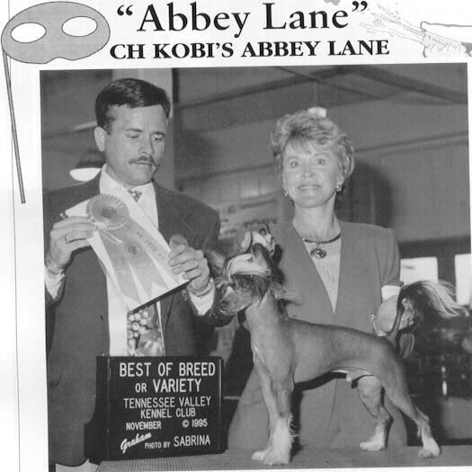 Kobi's Abbey Lane