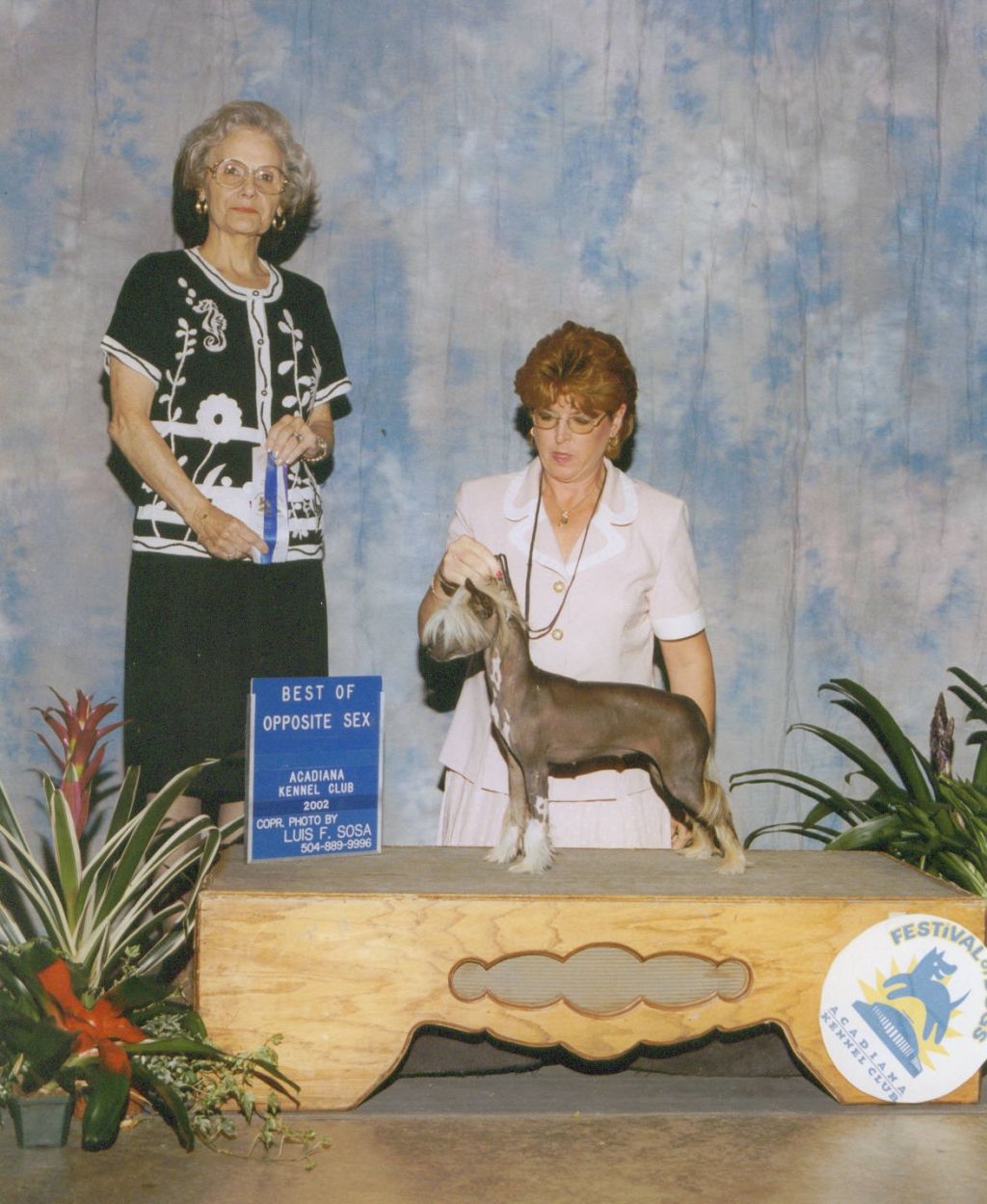 Kotickee's Lookin For A Party