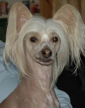 Kroog's Ozzie Osborn