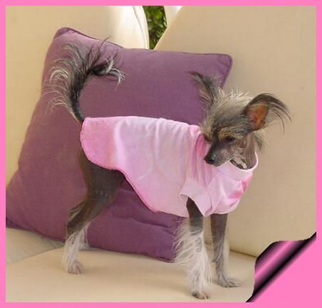 La Boheme Della Castafiore