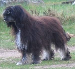 Lohamras Hedda Lakritzdottir
