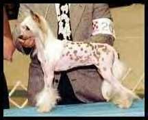 Makara's Natural Vibrance