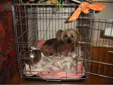 Mc Carthy's Gummionnngentutsmurf