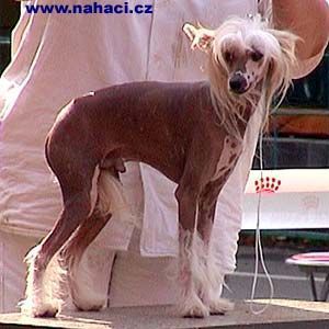 Midnight Music Best Brabus Mercedes