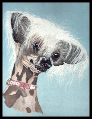 Moonswift Hot Potato Of Blandora