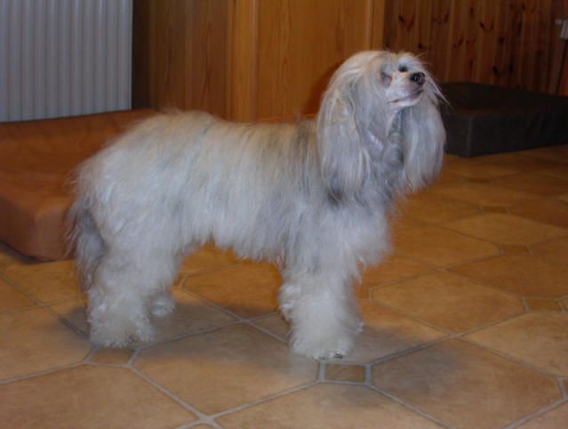 Mydestiny Carmensita