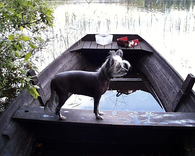 Nattmaran's Heartbreak