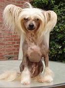 Newbourne Simply Stunning