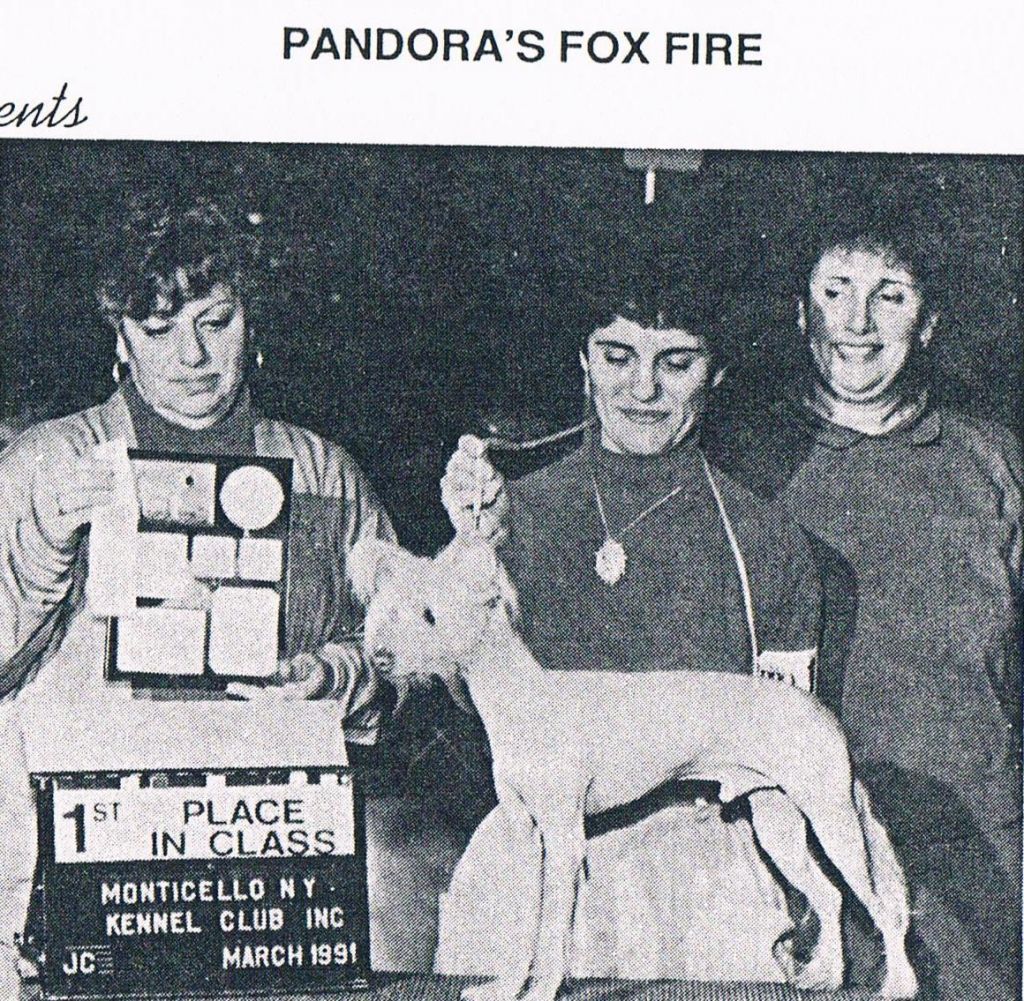 Pandora's Fox Fire